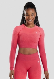 La calidad detr&aacute;s de mi ropa deportiva Gymshark en Per&uacute;